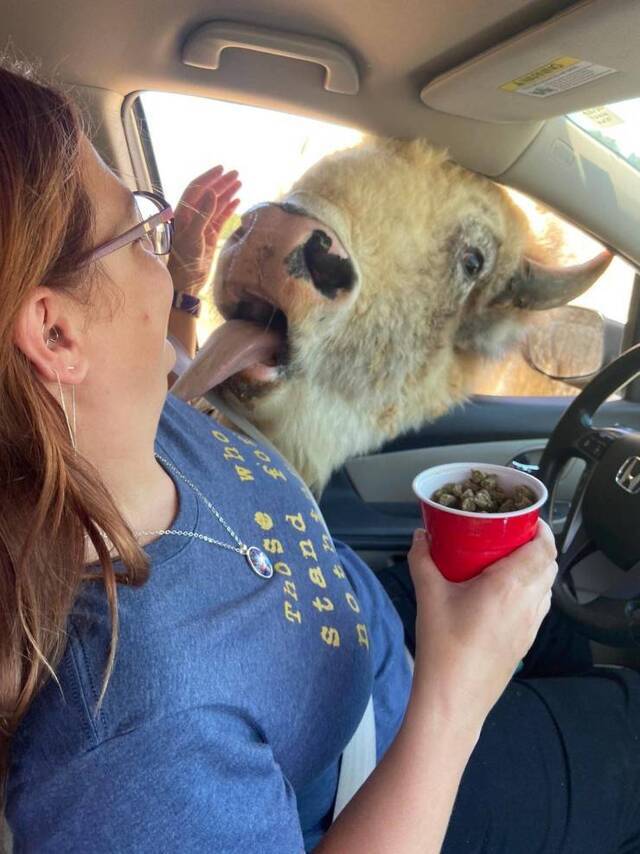 Nachschlag - Bildschirmarbeiter - Picdump KW34 2020