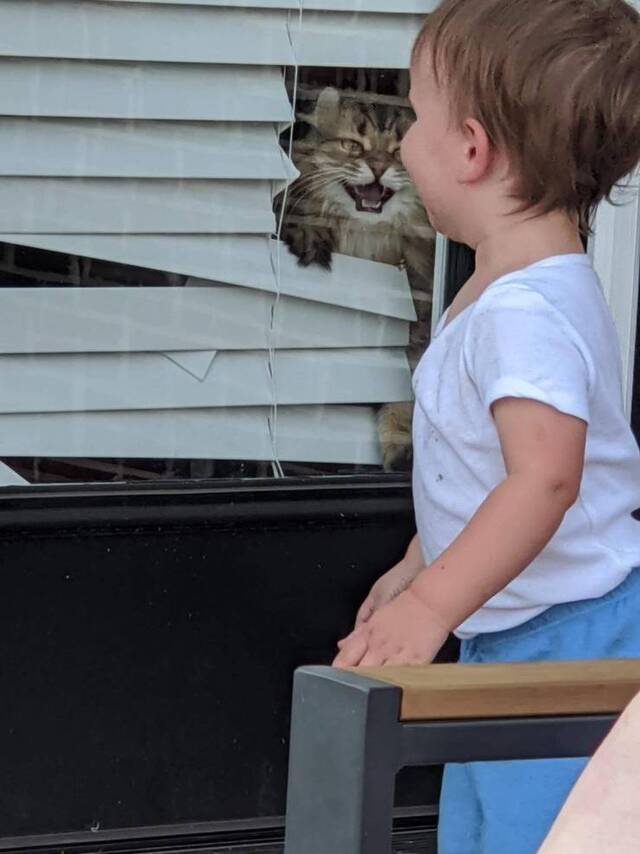 Nachschlag - Bildschirmarbeiter - Picdump KW34 2020