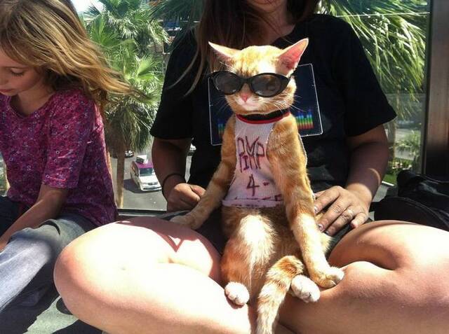 Nachschlag - Bildschirmarbeiter - Picdump KW34 2020