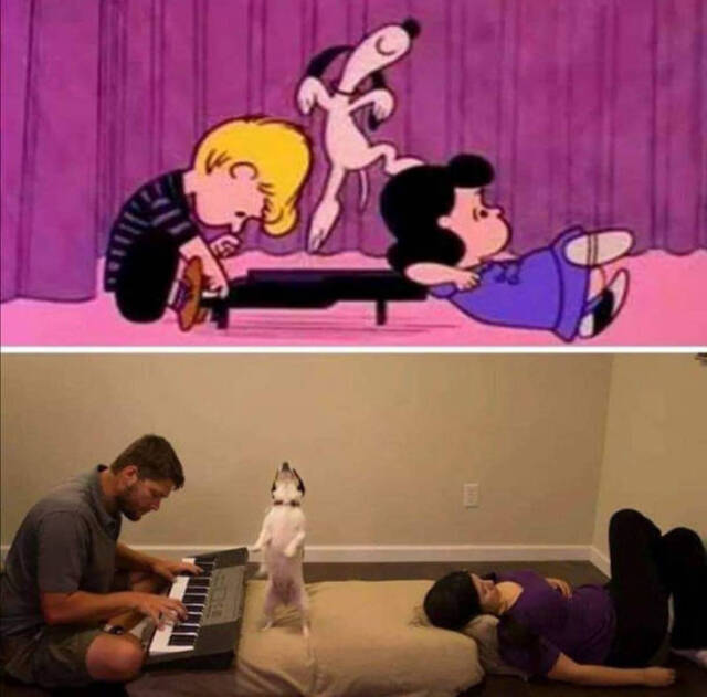 Nachschlag - Bildschirmarbeiter - Picdump KW34 2020