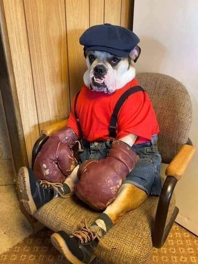 Nachschlag - Bildschirmarbeiter - Picdump KW34 2020