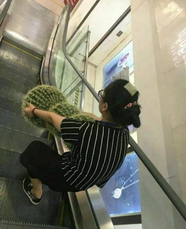 Nachschlag - Bildschirmarbeiter - Picdump KW34 2020