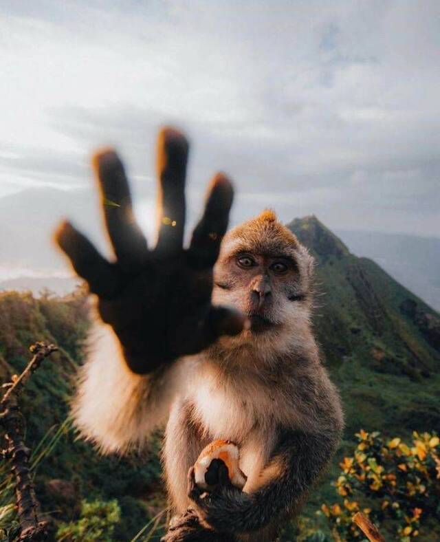 Nachschlag - Bildschirmarbeiter - Picdump KW34 2020