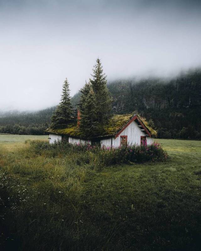 Nachschlag - Bildschirmarbeiter - Picdump KW34 2021