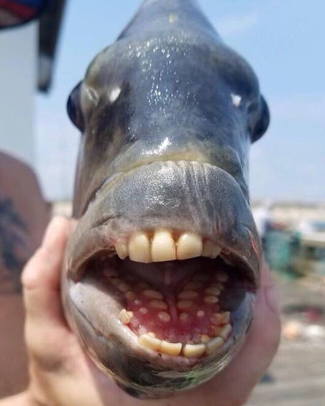 Nachschlag - Bildschirmarbeiter - Picdump KW34 2021