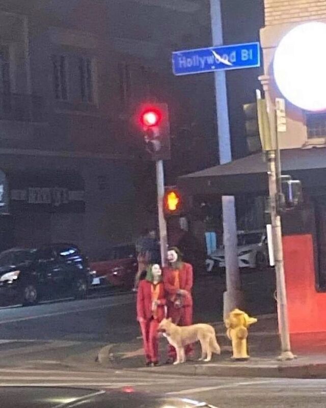 Nachschlag - Bildschirmarbeiter - Picdump KW34 2021