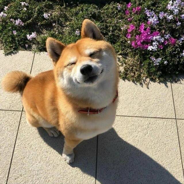 Nachschlag - Bildschirmarbeiter - Picdump KW 34/2022