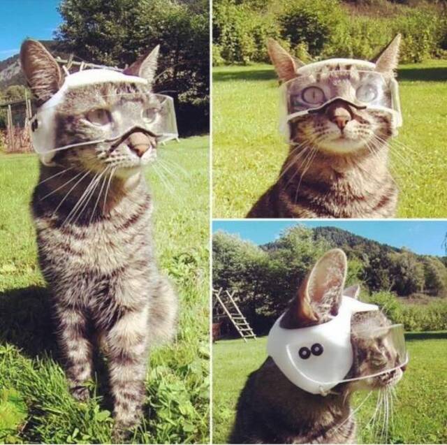 Nachschlag - Bildschirmarbeiter - Picdump KW 34/2022