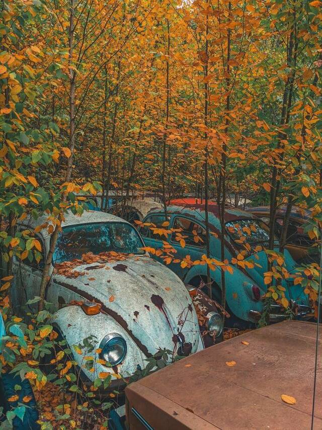 Nachschlag - Bildschirmarbeiter - Picdump KW 34/2022