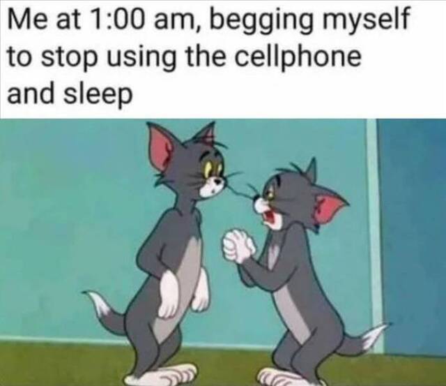 Nachschlag - Bildschirmarbeiter - Picdump KW 34/2022