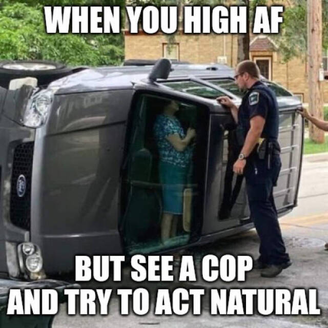 Nachschlag - Bildschirmarbeiter - Picdump KW 34/2022