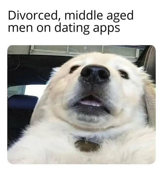 Nachschlag - Bildschirmarbeiter - Picdump KW 34/2022