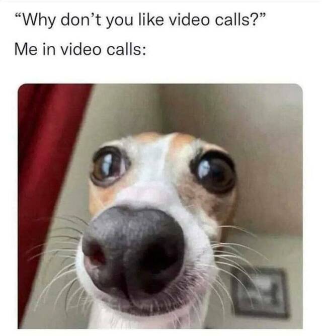 Nachschlag - Bildschirmarbeiter - Picdump KW 34/2022