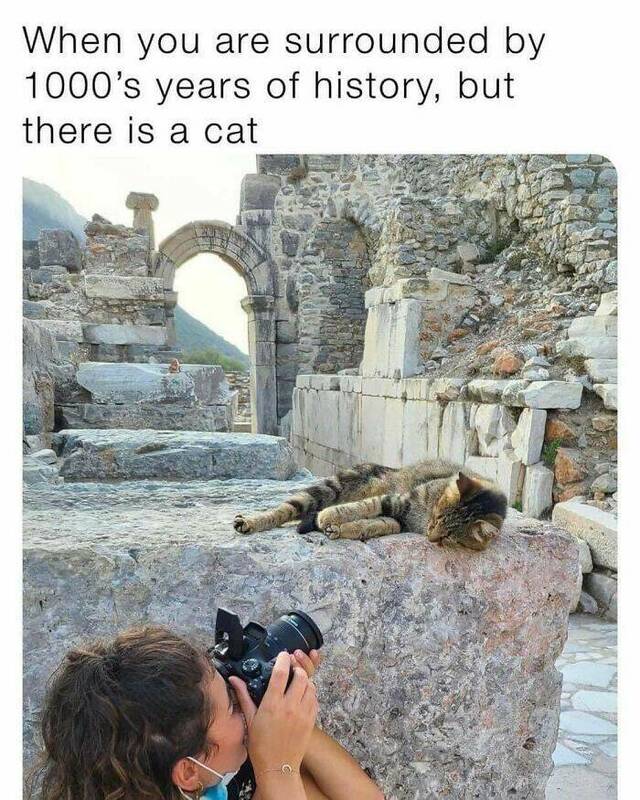 Nachschlag - Bildschirmarbeiter - Picdump KW 34/2022