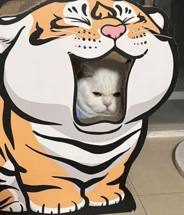 Nachschlag - Bildschirmarbeiter - Picdump KW 34/2022