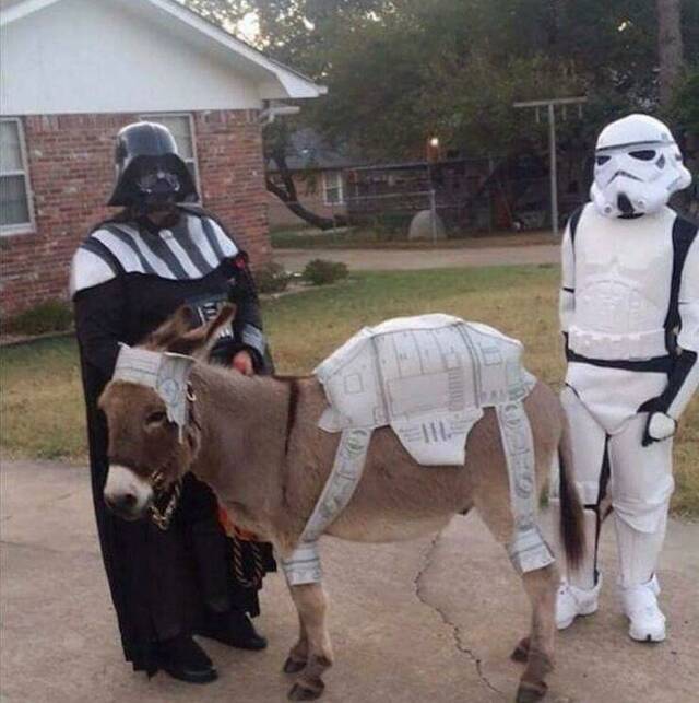 Nachschlag - Bildschirmarbeiter - Picdump KW 34/2022