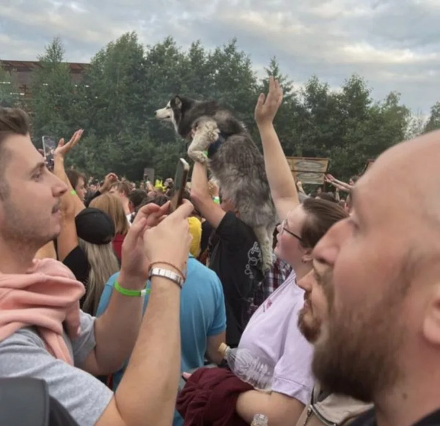 Nachschlag - Bildschirmarbeiter - Picdump KW 34/2022