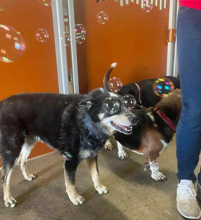 Nachschlag - Bildschirmarbeiter - Picdump KW 34/2022