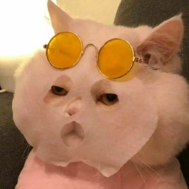 Nachschlag - Bildschirmarbeiter - Picdump KW 34/2022