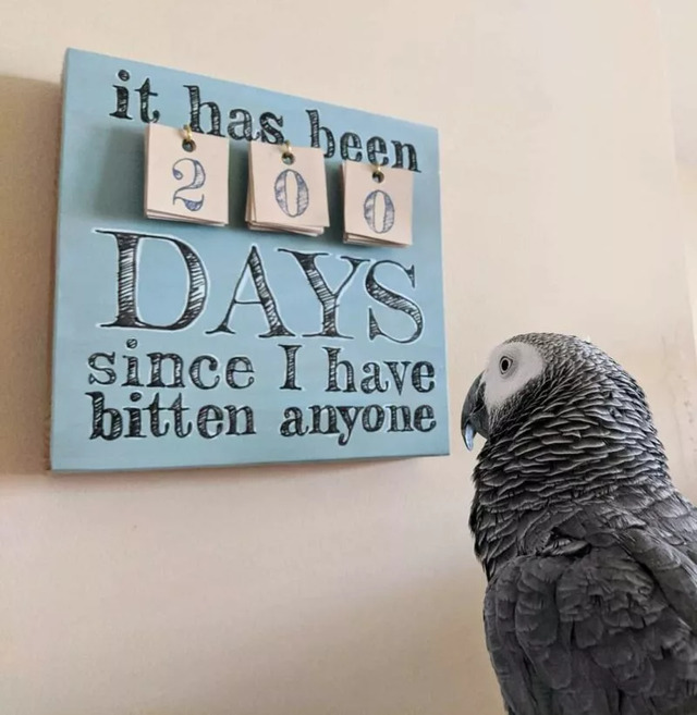 Nachschlag - Bildschirmarbeiter - Picdump KW 34/2022