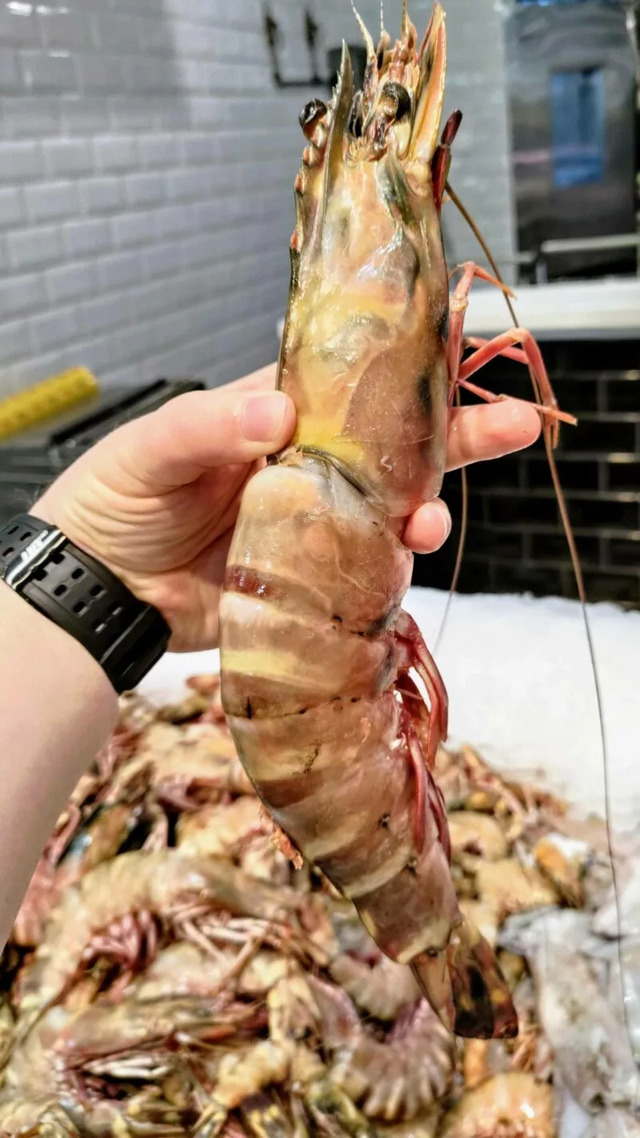 Nachschlag - Bildschirmarbeiter - Picdump KW 34/2022