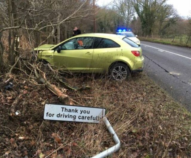 Bildschirmarbeiter - Picdump KW 34/2025