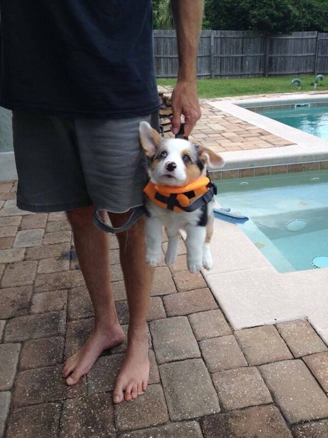 Bildschirmarbeiter - Picdump KW 34/2025