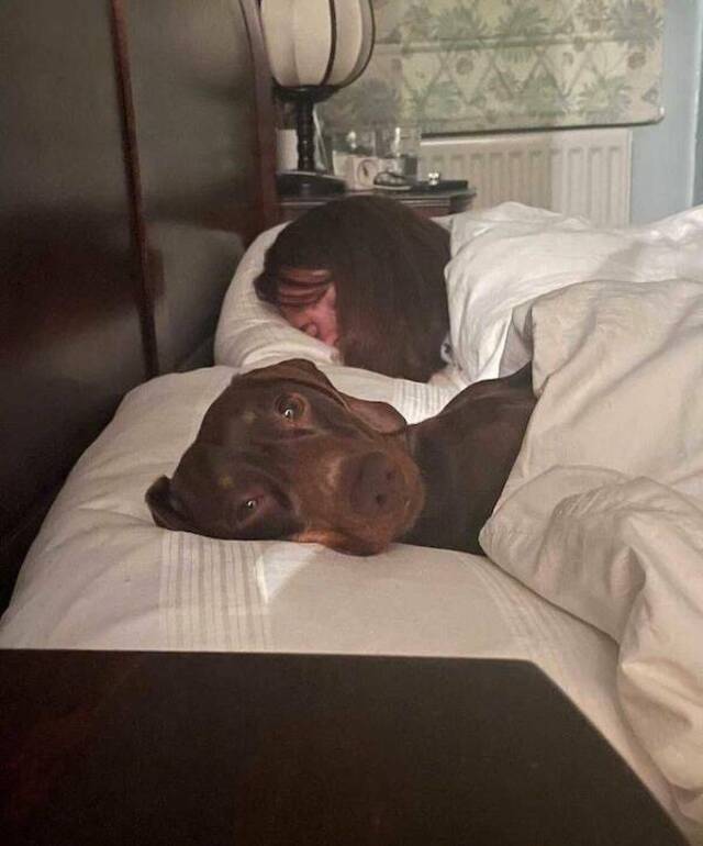 Bildschirmarbeiter - Picdump KW 34/2025