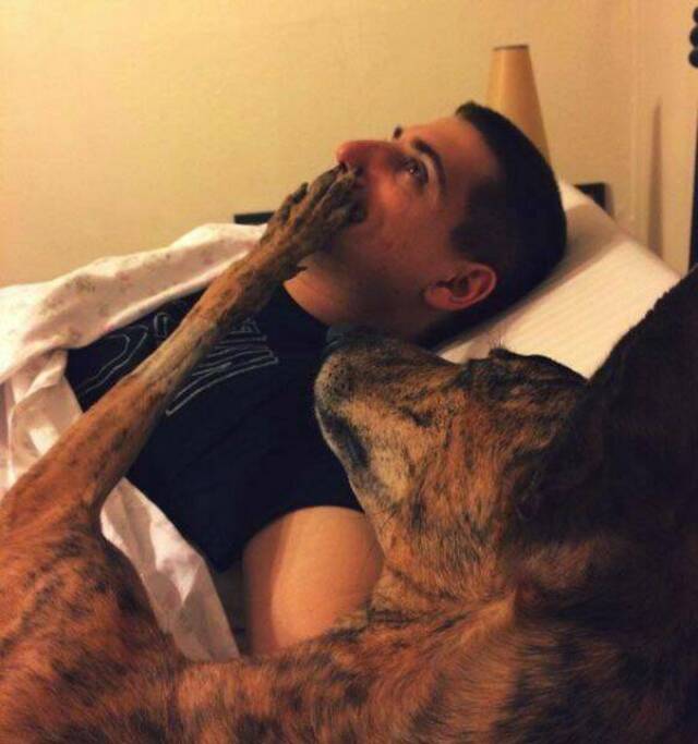 Bildschirmarbeiter - Picdump KW 34/2025