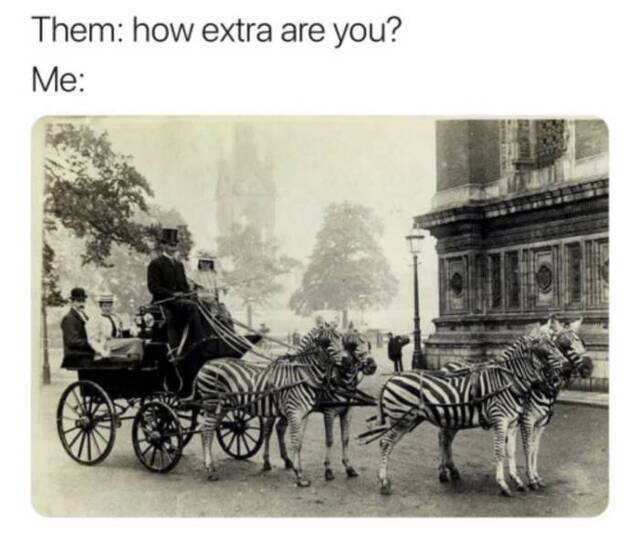 Bildschirmarbeiter - Picdump KW 34/2025