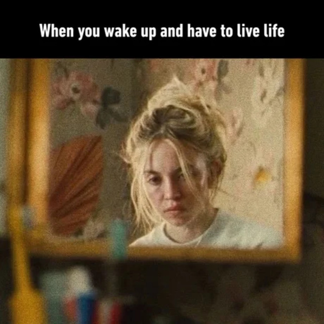 Bildschirmarbeiter - Picdump KW 34/2025