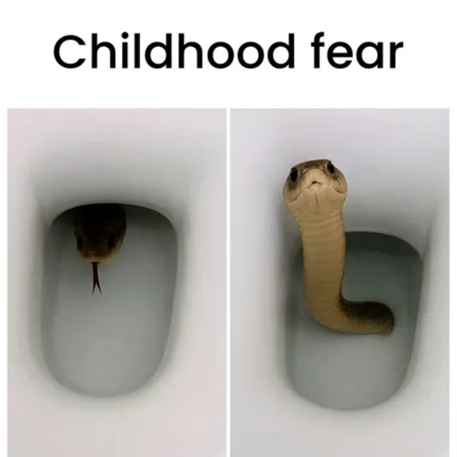 Bildschirmarbeiter - Picdump KW 34/2025