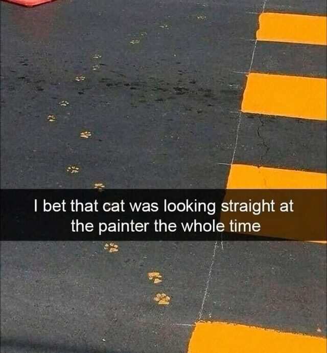 Bildschirmarbeiter - Picdump KW 34/2025