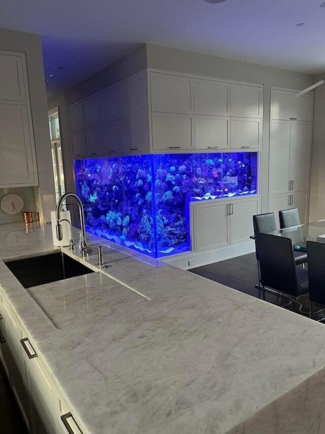 Bildschirmarbeiter - Picdump KW 34/2025