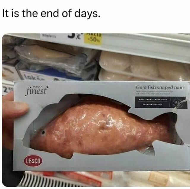 Bildschirmarbeiter - Picdump KW 34/2025