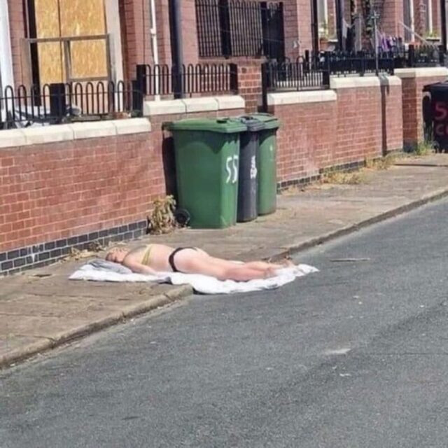 Bildschirmarbeiter - Picdump KW 34/2025