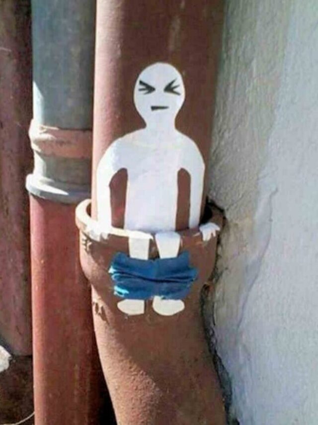 Bildschirmarbeiter - Picdump KW 34/2025