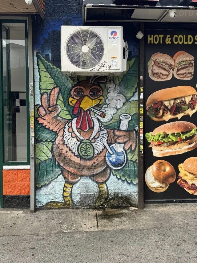 Bildschirmarbeiter - Picdump KW 34/2025