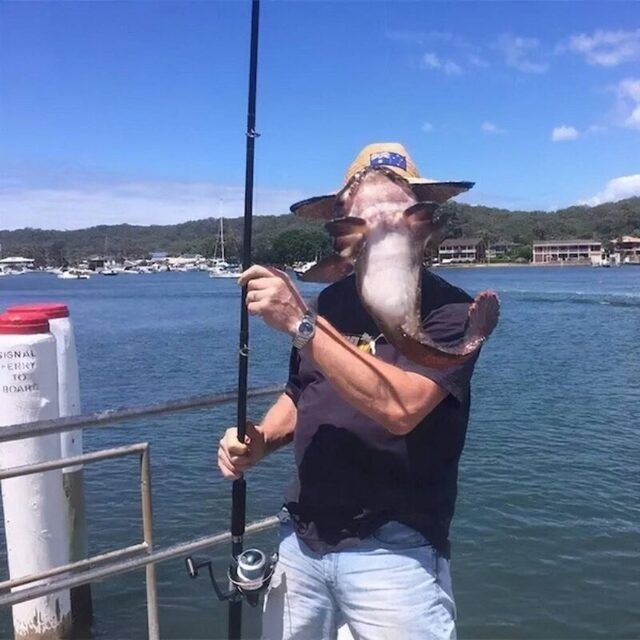 Bildschirmarbeiter - Picdump KW 34/2025