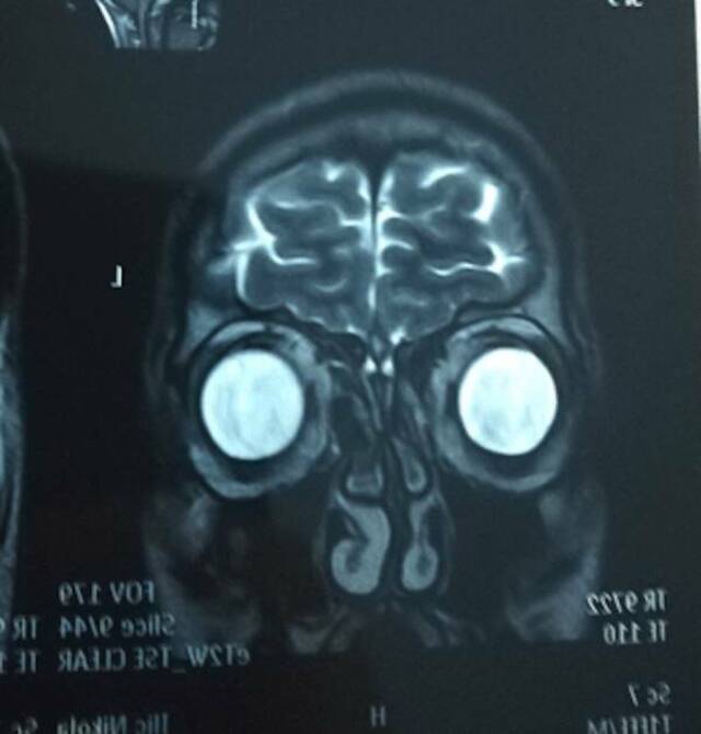 Bildschirmarbeiter - Picdump KW 34/2025