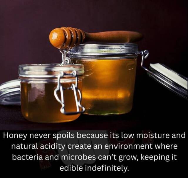 Bildschirmarbeiter - Picdump KW 34/2025