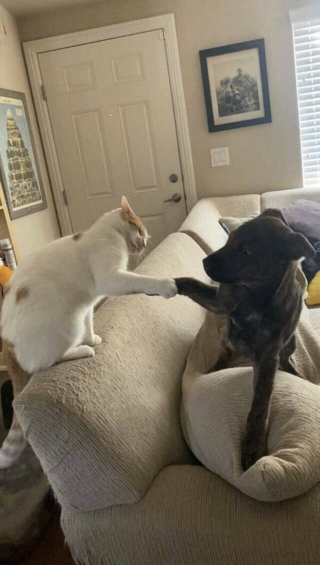 Bildschirmarbeiter - Picdump KW 34/2025