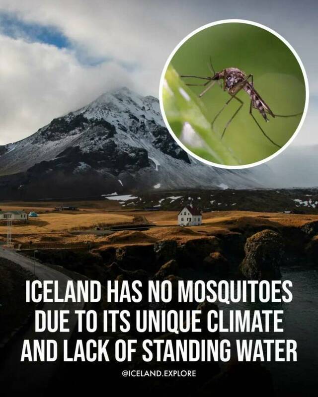 Bildschirmarbeiter - Picdump KW 34/2025