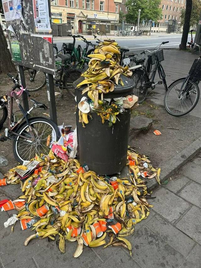 Bildschirmarbeiter - Picdump KW 34/2025