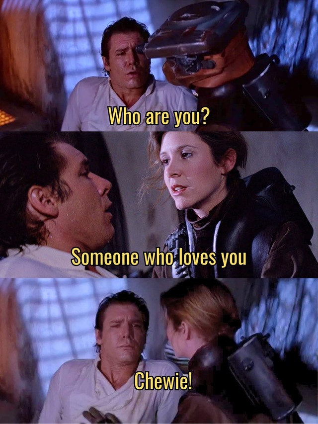 Bildschirmarbeiter - Picdump KW 34/2025