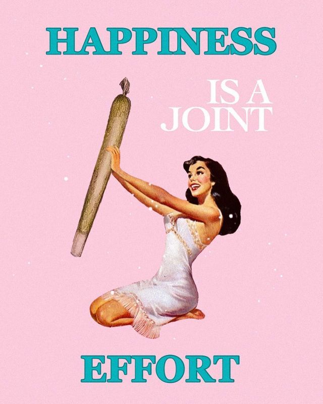 Bildschirmarbeiter - Picdump KW 34/2025