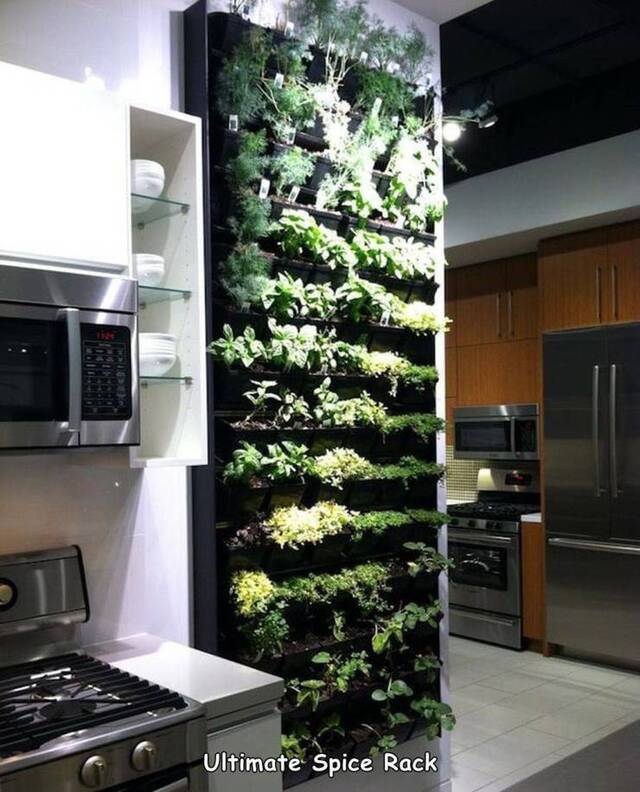 Bildschirmarbeiter - Picdump KW35 2020