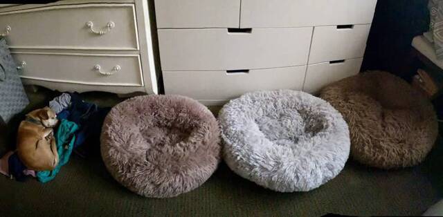 Bildschirmarbeiter - Picdump KW35 2020