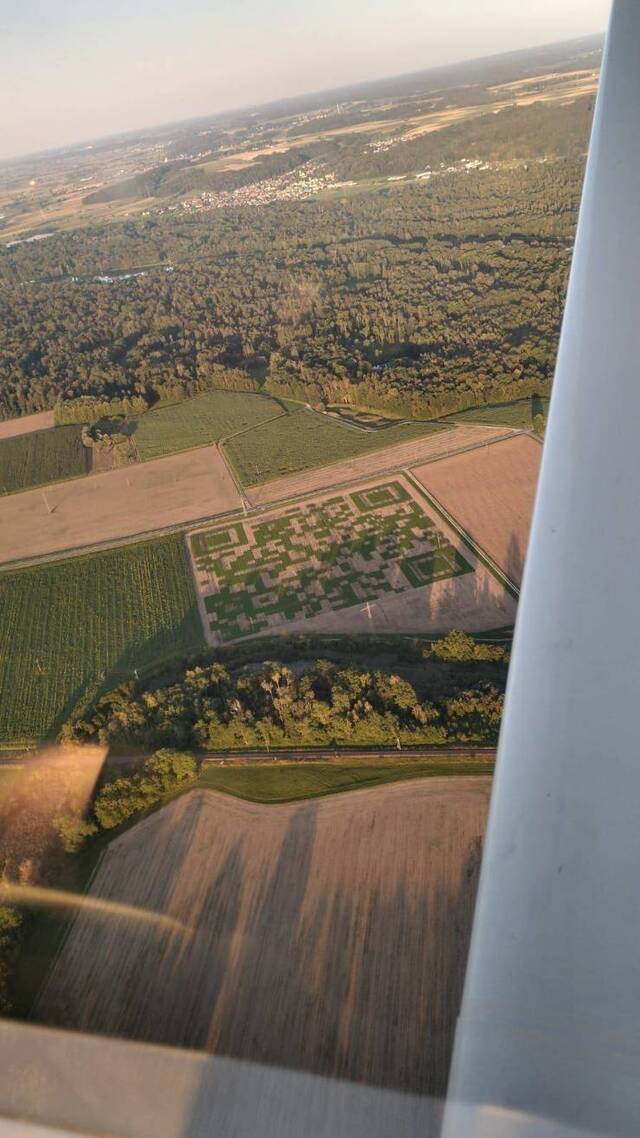 Bildschirmarbeiter - Picdump KW35 2020