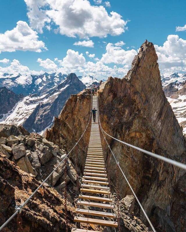 Bildschirmarbeiter - Picdump KW35 2020